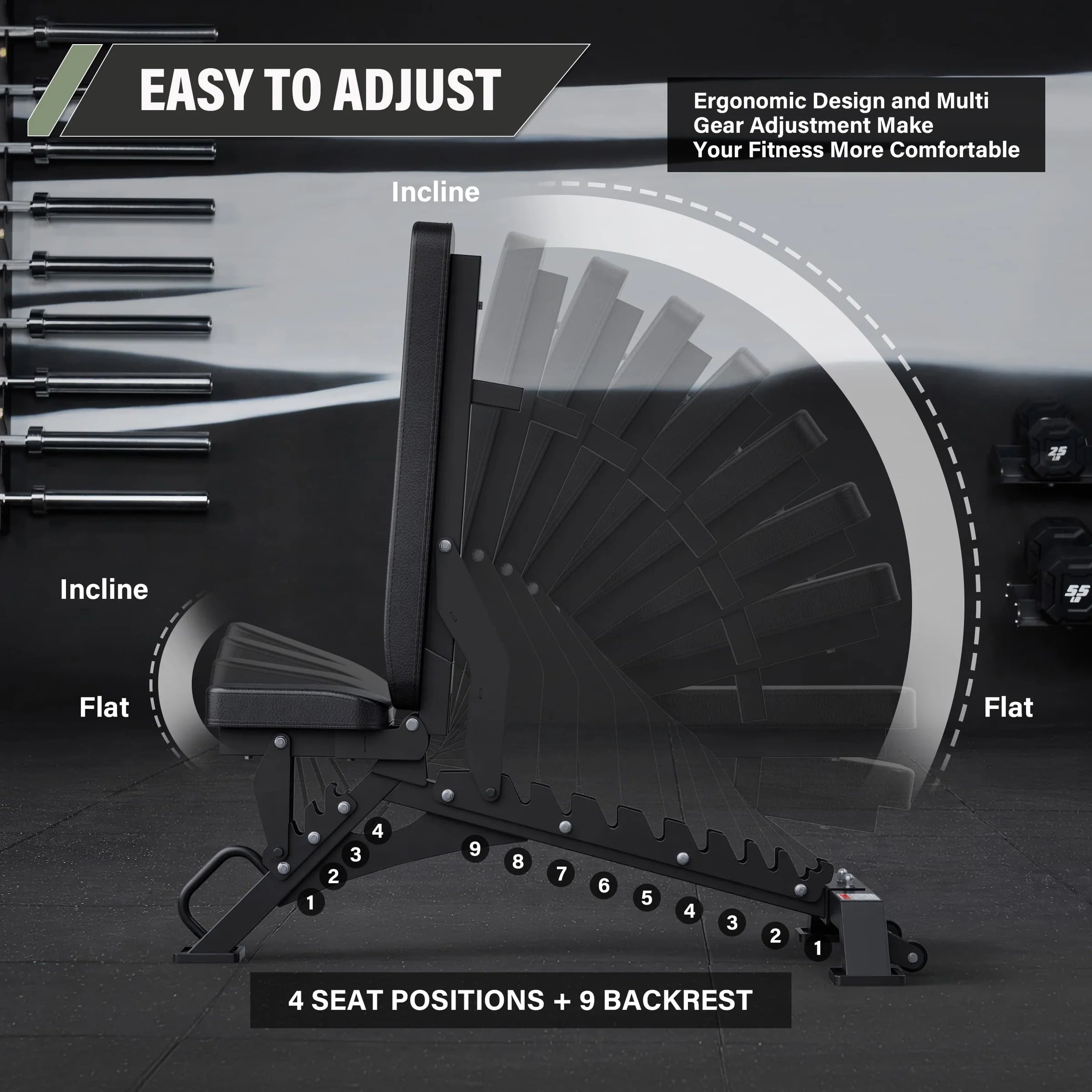 Major Fitness PLT01BL Bench
