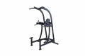 Sports Art A994 DIP/PULL-UP/VKR