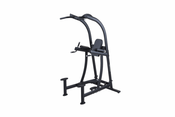 Sports Art A994 DIP/PULL-UP/VKR