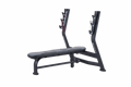 Sports Art A996 OLYMPIC BENCH PRESS