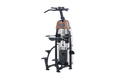 Sports Art N911 Status Assisted Chin-Up & Triceps Dip