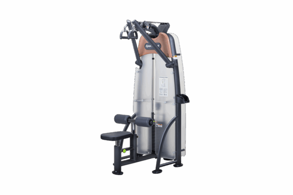 Sports Art N916 Status Independent Lat Pulldown