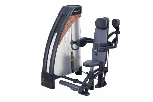 Sports Art N919 Status Independent Lateral Raise