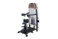 Sports Art N935 Status Rotary Torso