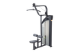 Sports Art P826 Performance Lat Pulldown
