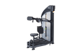 Sports Art P835 Performance Rotary Torso