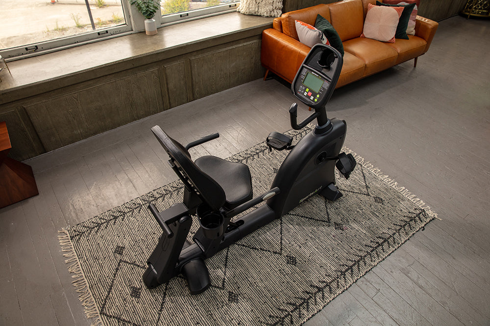 Sports Art C55R Recumbent Bike